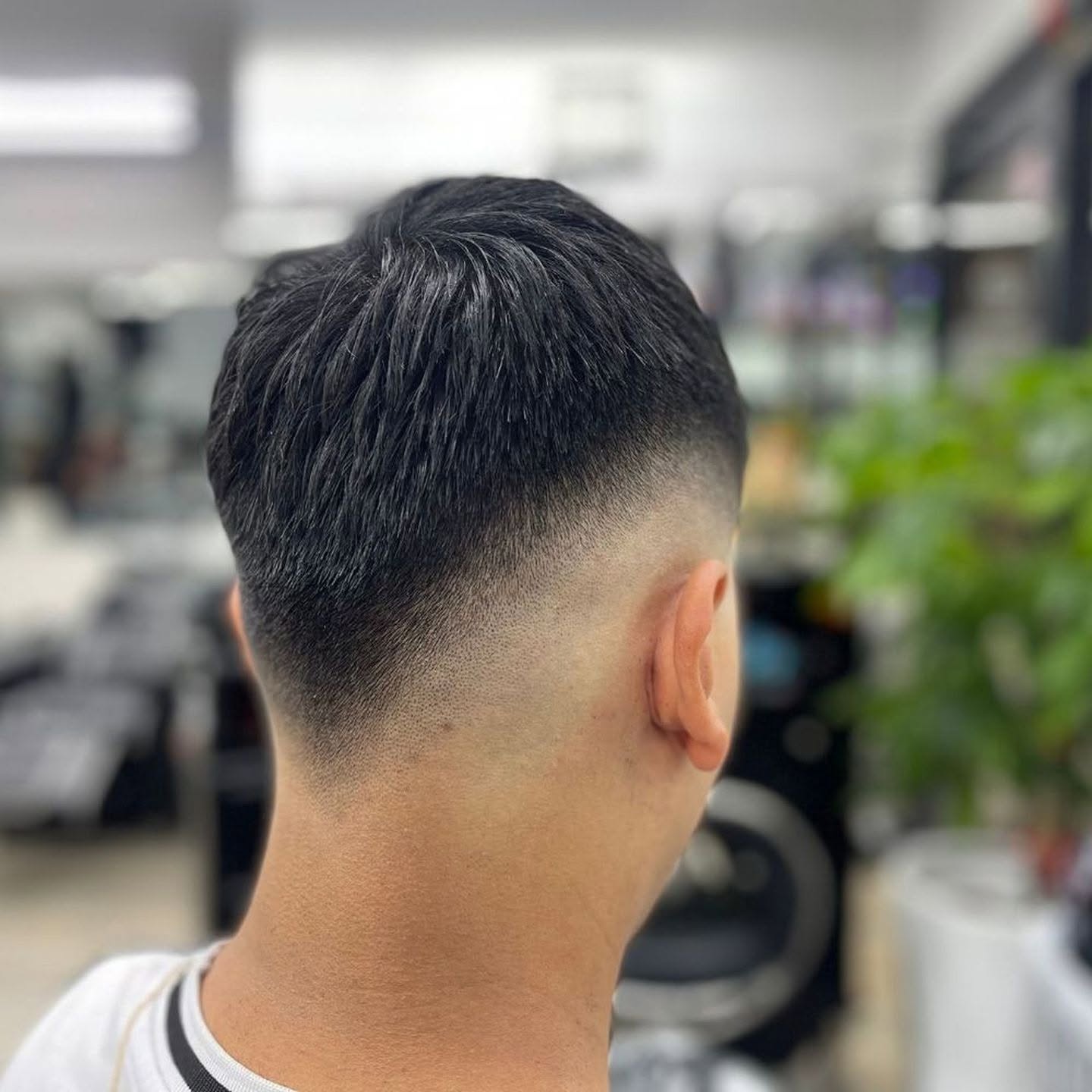 Hugo Ace cut